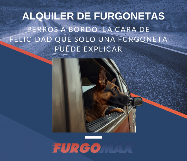 Perros a Bordo: La Cara de Felicidad que Solo una Furgoneta Puede Explicar
